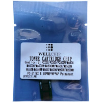 Чіп Pantum M6500, M6607, P2200, P2500 (для картриджів PC-210, PC-211, PC-230) WELLCHIP безлімітний